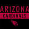 NFL Arizona Cardinals Black Performance Series AirPods Pro 2nd Gen Skin